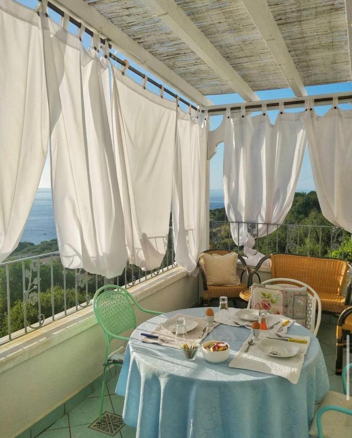 Belvedere Castro  外观 照片